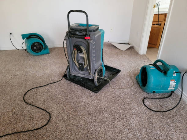 Best Water damage cleanup near me  in West Vero Corridor, FL