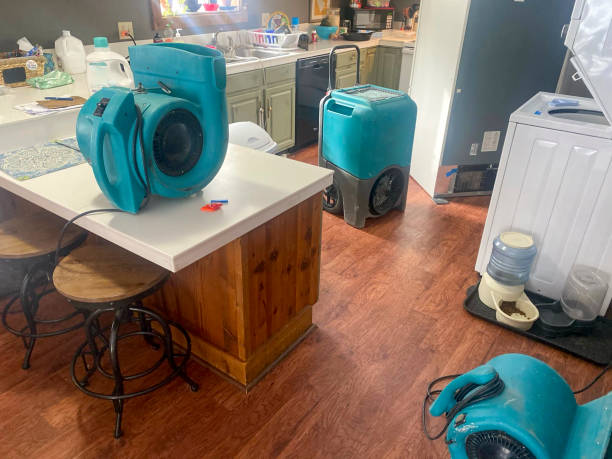 Best Carpet water damage restoration  in West Vero Corridor, FL