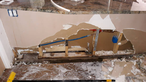 Best Water damage cleanup near me  in West Vero Corridor, FL