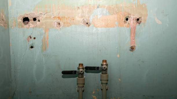  West Vero Corridor, FL Water damage restoration Pros